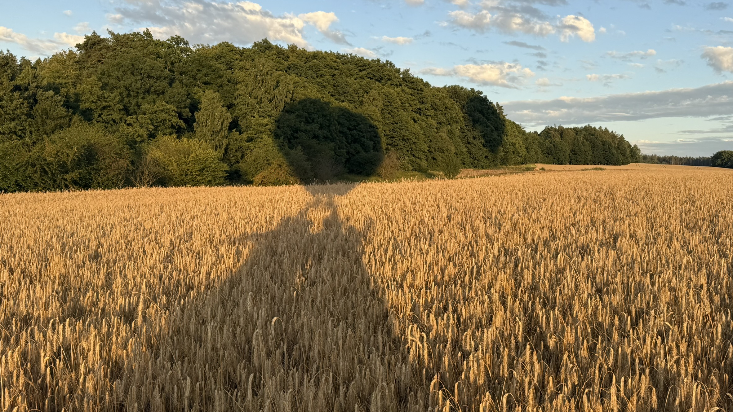 Balonové nebe na Farmě Bláto 2026